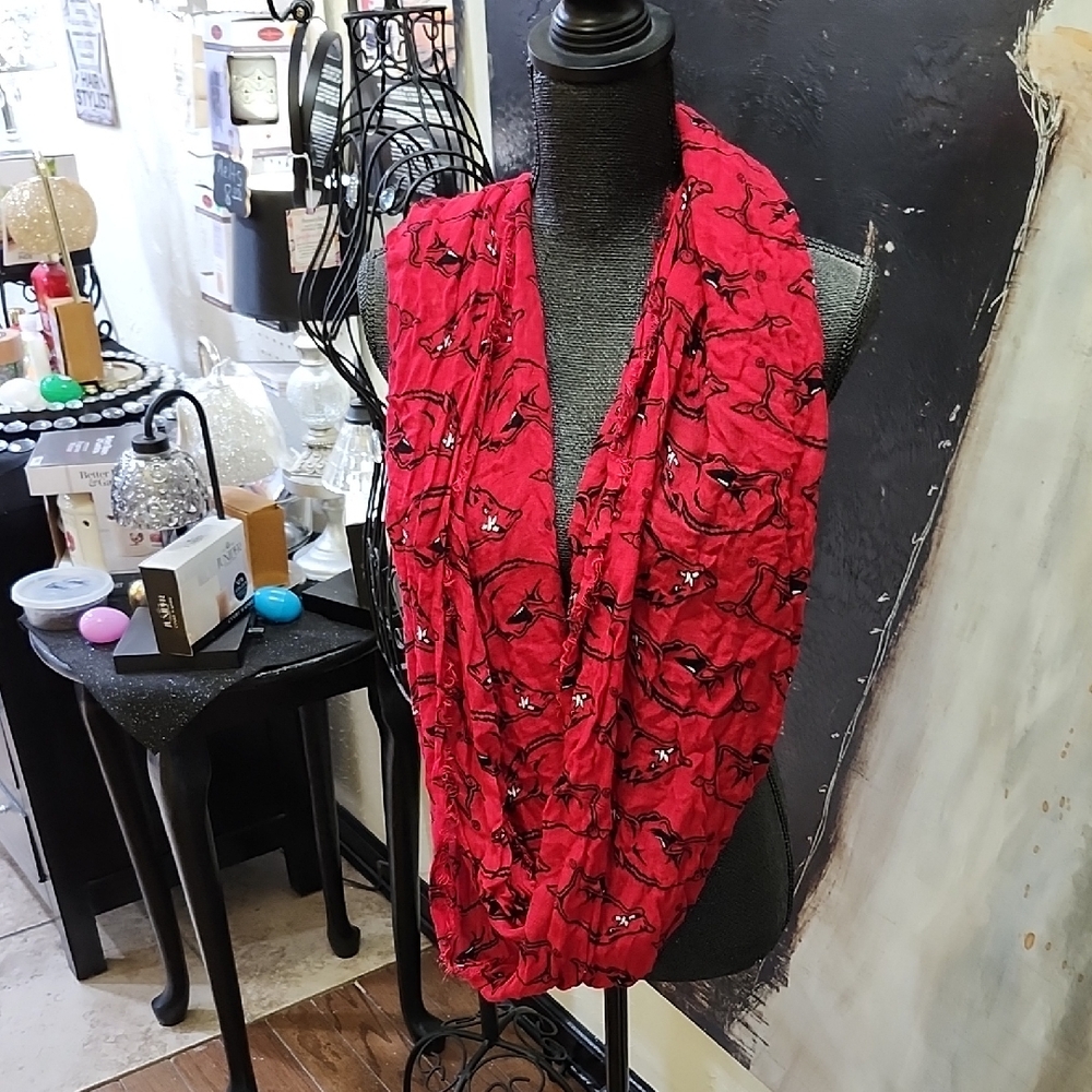 ZOOZATZ INFINITY ARKANSAS RAZORBACKS SCARF